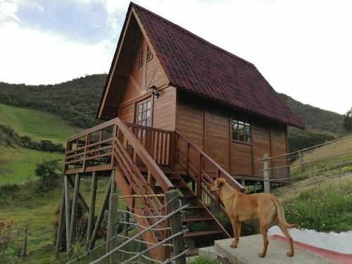 Las Acacias Hobbit House