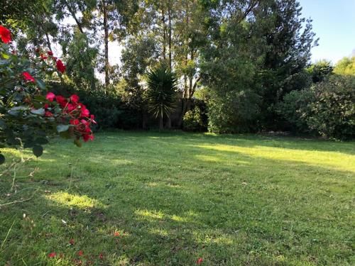 Outdoor Pictures 1