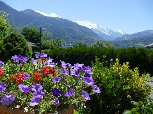 Outdoor Pictures 7