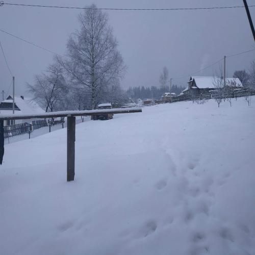 Outdoor Pictures 7