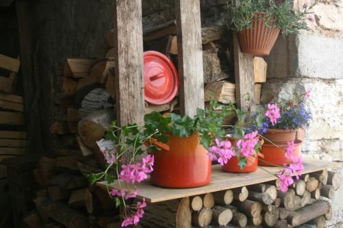 Outdoor Pictures 20