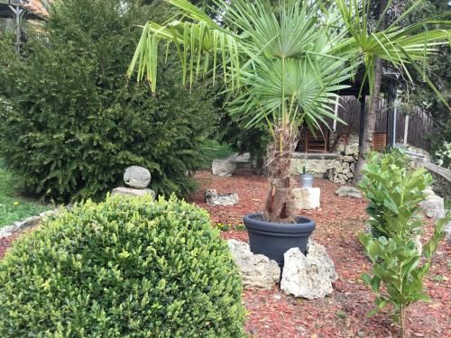 Outdoor Pictures 7