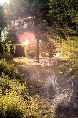 Outdoor Pictures 12