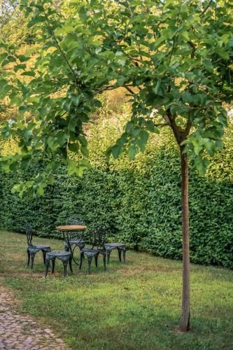 Outdoor Pictures 14