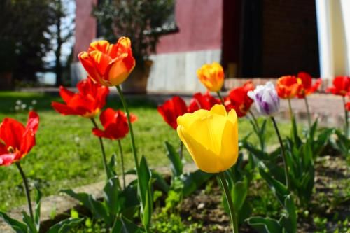 Outdoor Pictures 17