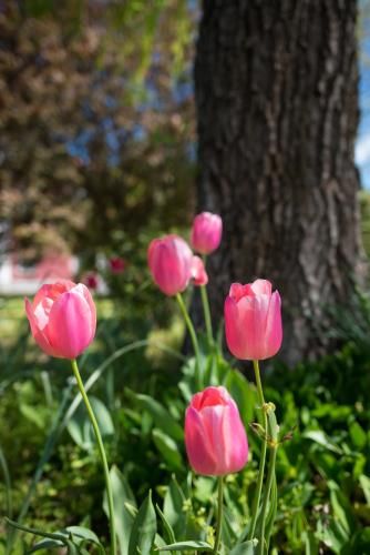 Outdoor Pictures 7