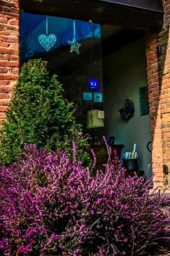 Outdoor Pictures 21