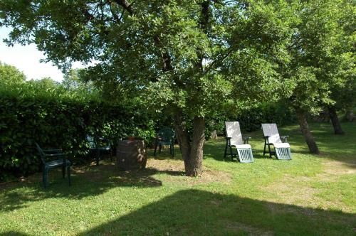 Outdoor Pictures 8