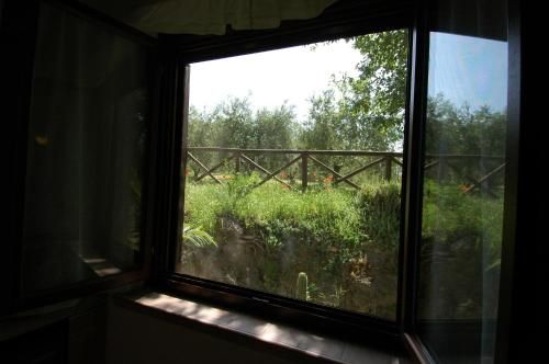 Outdoor Pictures 10