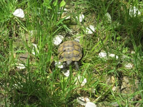 Outdoor Pictures 16