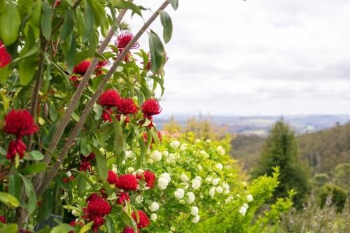 Outdoor Pictures 12