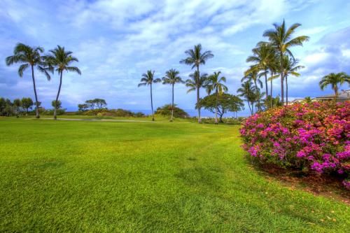 Outdoor Pictures 15