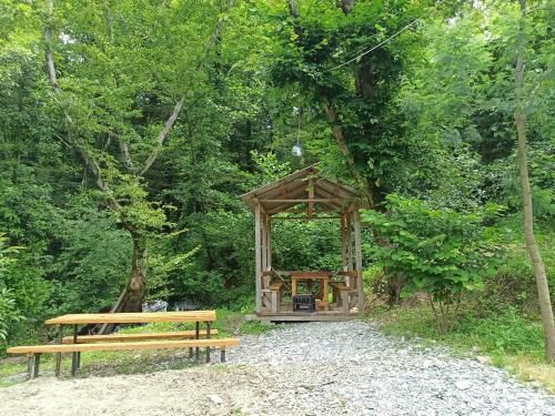 Outdoor Pictures 7