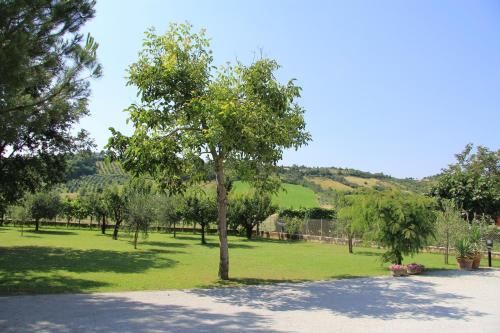 Outdoor Pictures 22