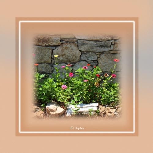 Outdoor Pictures 21
