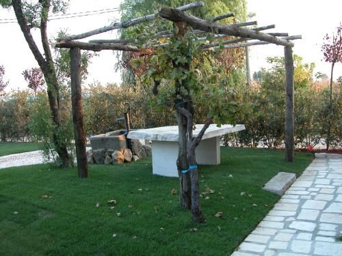 Outdoor Pictures 11