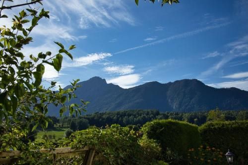 Outdoor Pictures 10