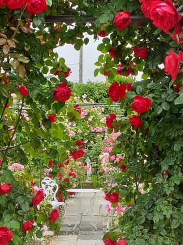 Outdoor Pictures 5