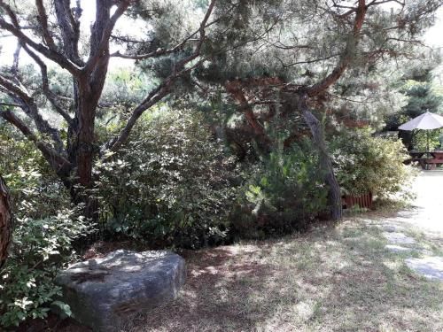 Outdoor Pictures 15