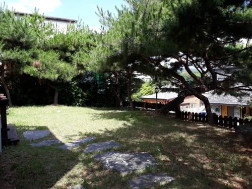 Outdoor Pictures 17