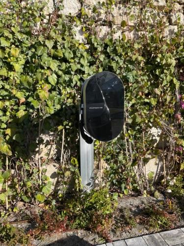 Outdoor Pictures 10