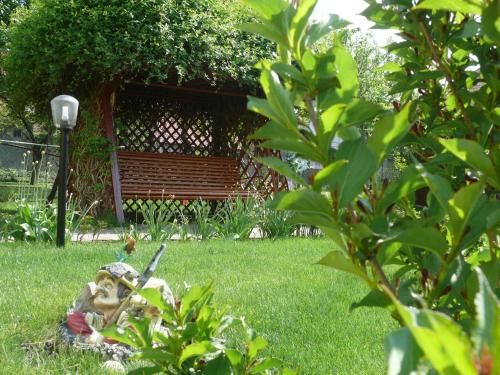 Outdoor Pictures 15