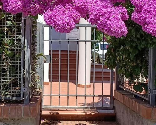 Outdoor Pictures 6