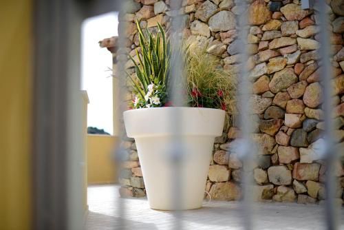 Outdoor Pictures 22