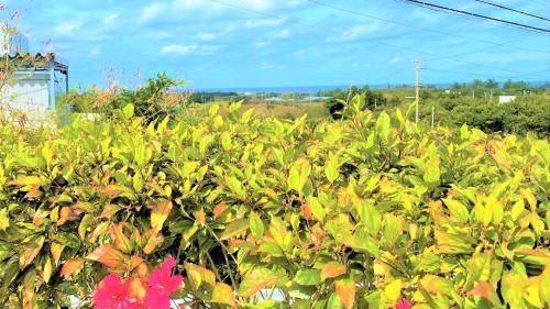 Outdoor Pictures 24
