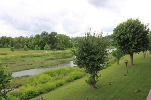 Outdoor Pictures 13