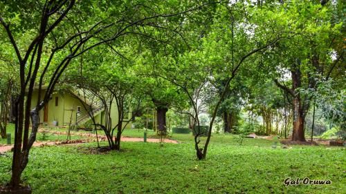 Outdoor Pictures 7
