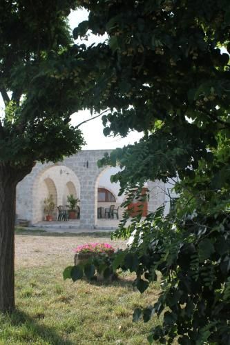 Outdoor Pictures 4