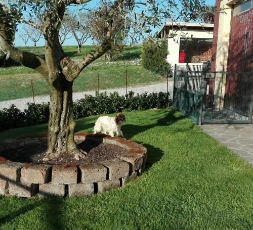B&B Casa Alysa