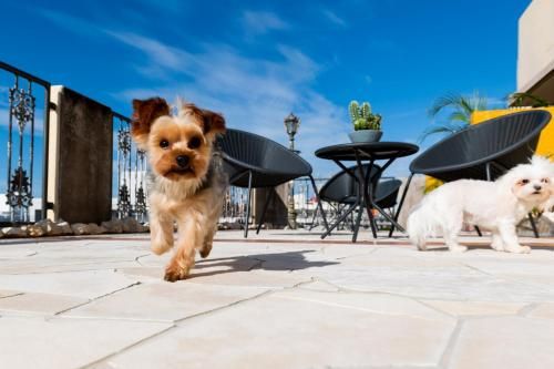 Outdoor Pictures 1