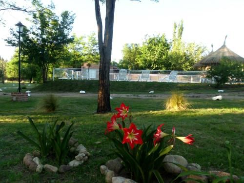 Outdoor Pictures 20