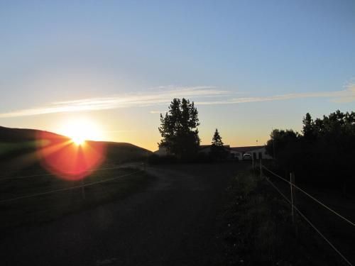 Outdoor Pictures 14