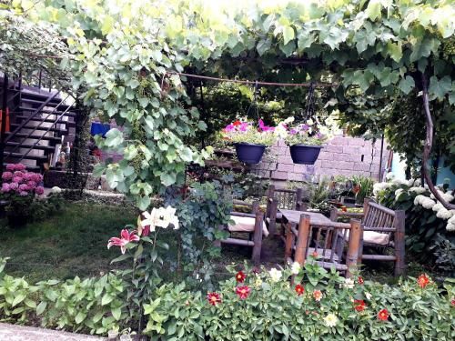 Outdoor Pictures 9