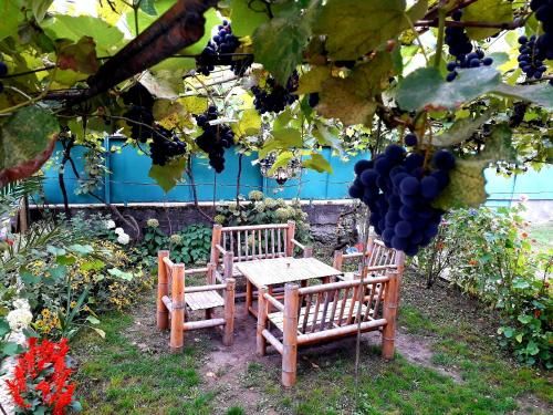 Outdoor Pictures 17