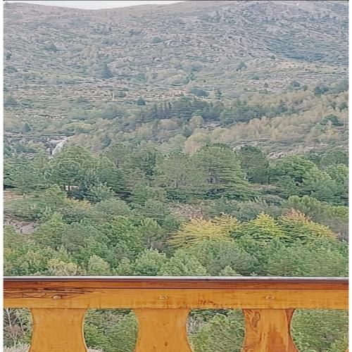 Outdoor Pictures 9