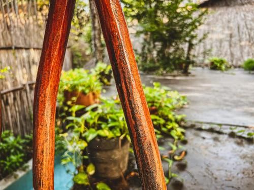 Outdoor Pictures 15