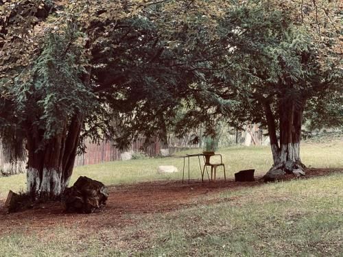 Outdoor Pictures 22