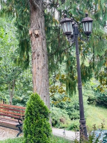 Outdoor Pictures 23