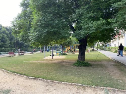 Outdoor Pictures 4