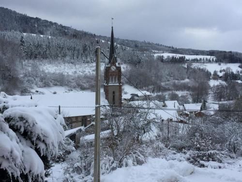 Studio cosy avec terrasse, vue montagne, proche Saint-Die des Vosges et Alsace - FR-1-589-236