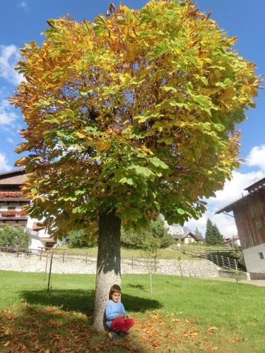 Outdoor Pictures 4