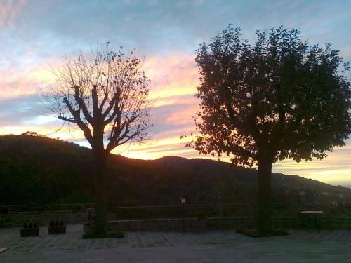Outdoor Pictures 19