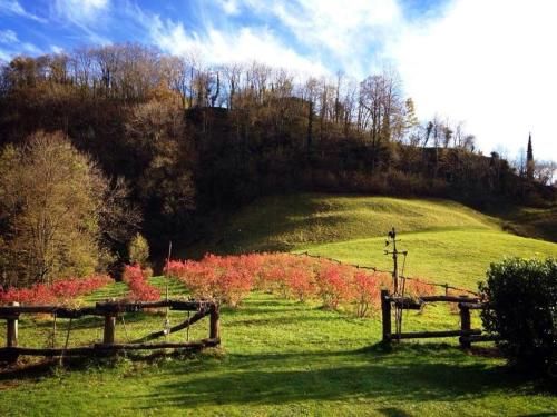 Outdoor Pictures 15
