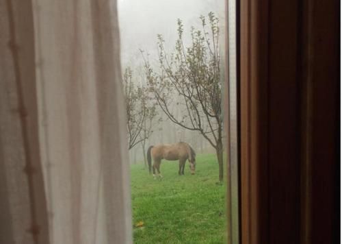 Outdoor Pictures 22