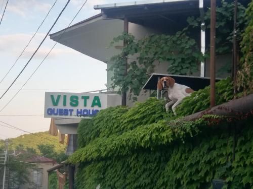Guest House Vista