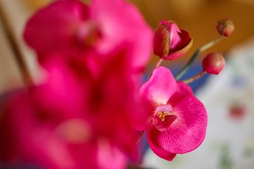 Outdoor Pictures 24